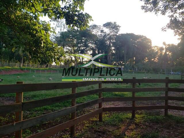 #610 - Sítio para Venda em São José do Rio Preto - SP