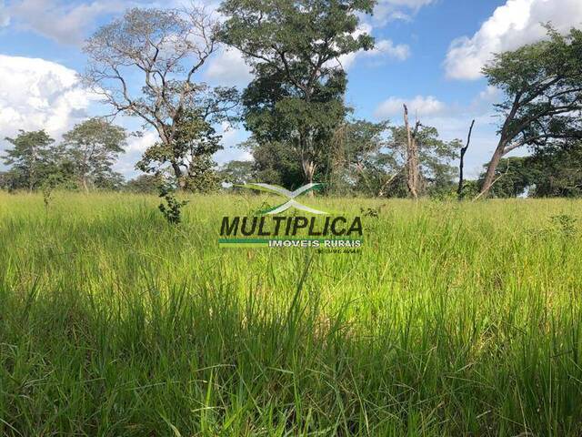 #614 - Fazenda para Venda em Serranópolis - GO