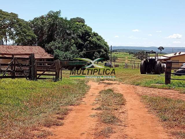 #616 - Fazenda para Venda em Campina Verde - MG