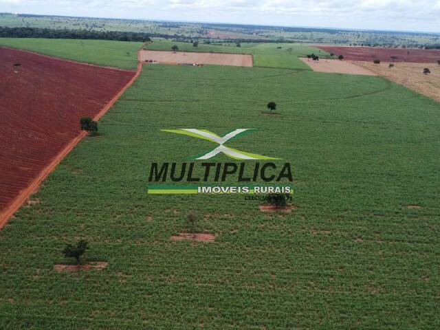 #617 - Fazenda para Venda em União de Minas - MG - 1