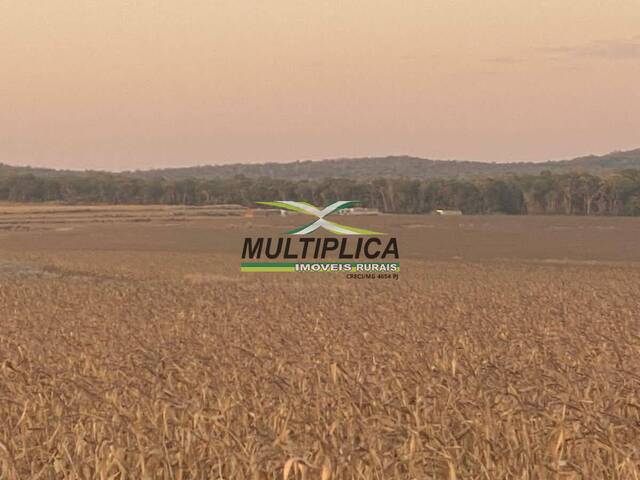 #618 - Fazenda para Venda em Nova Mutum - MT