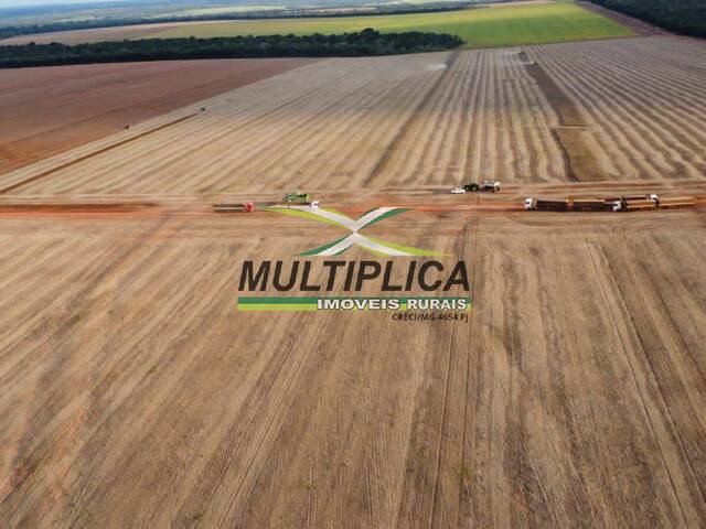 #618 - Fazenda para Venda em Nova Mutum - MT