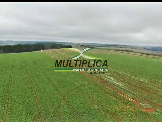 #619 - Fazenda para Venda em Araxá - MG