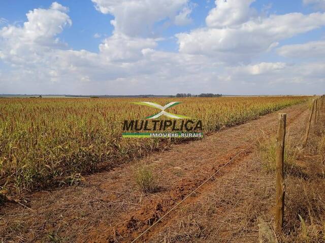 #620 - Fazenda para Venda em Uberlândia - MG