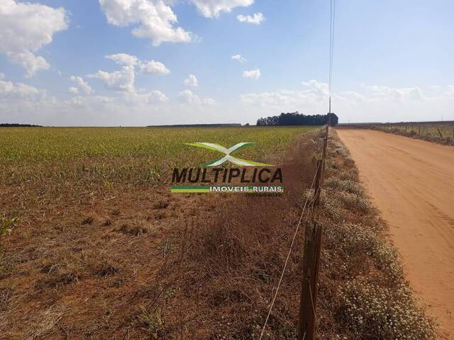 #620 - Fazenda para Venda em Uberlândia - MG
