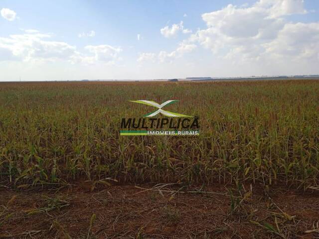 #621 - Fazenda para Venda em Uberlândia - MG