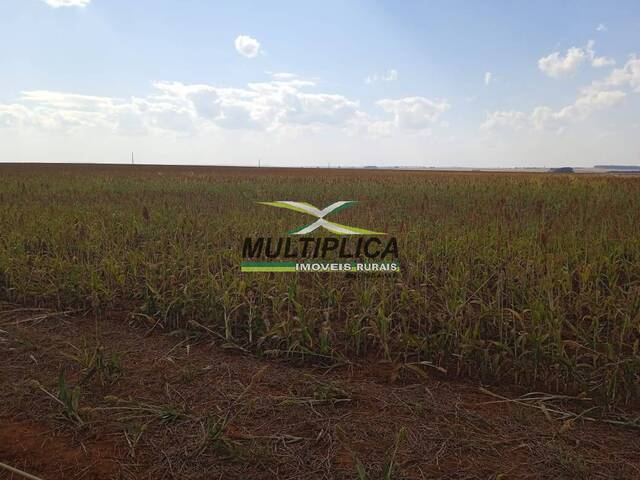 #621 - Fazenda para Venda em Uberlândia - MG
