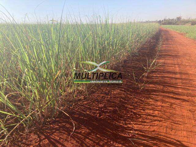 #629 - Fazenda para Venda em Planura - MG