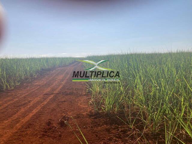 #629 - Fazenda para Venda em Planura - MG