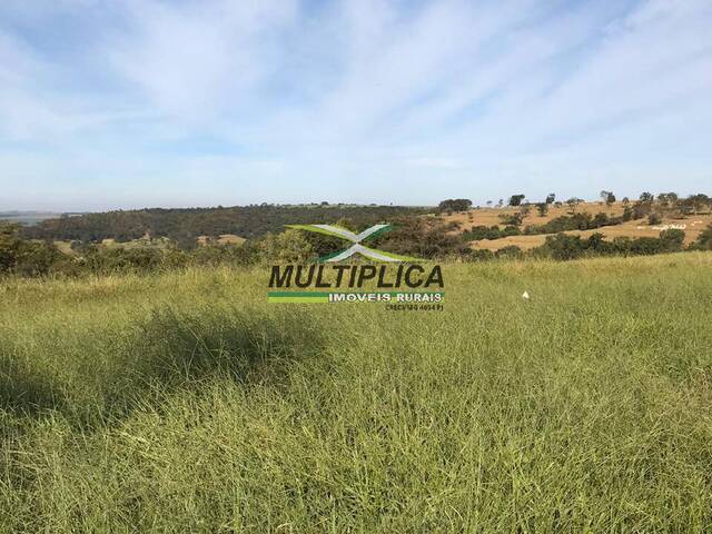 #630 - Fazenda para Venda em Campo Florido - MG - 3