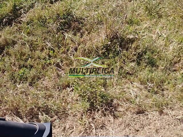 #634 - Fazenda para Venda em São Romão - MG - 2