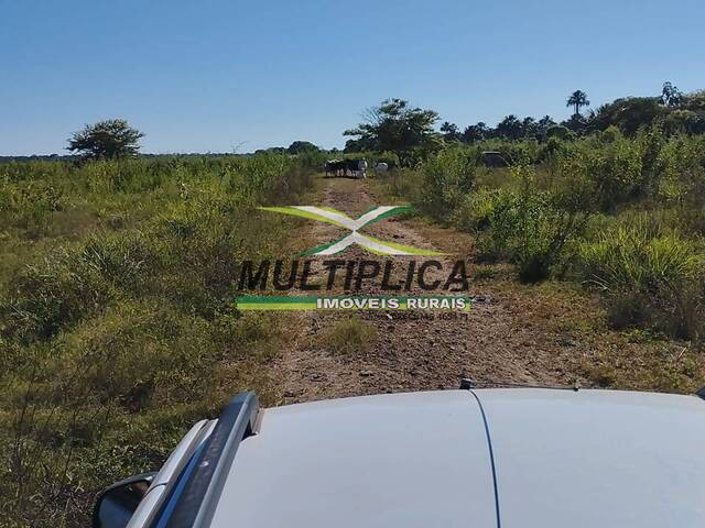#634 - Fazenda para Venda em São Romão - MG - 3