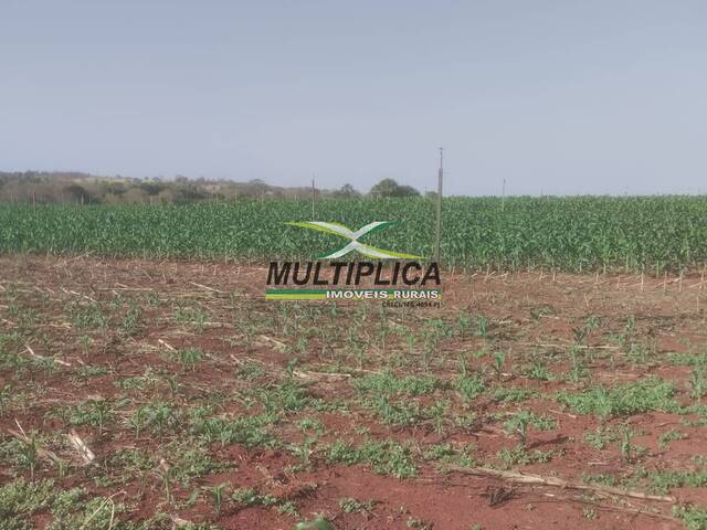 #637 - Fazenda para Venda em Monte Alegre de Minas - MG