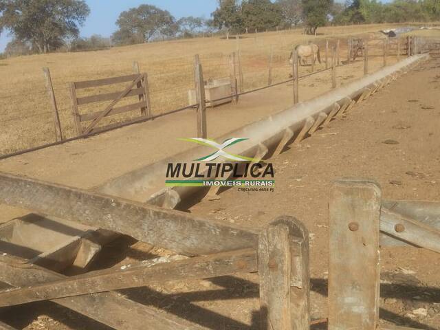 #637 - Fazenda para Venda em Monte Alegre de Minas - MG
