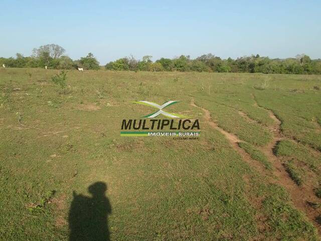 #640 - Fazenda para Venda em Campina Verde - MG