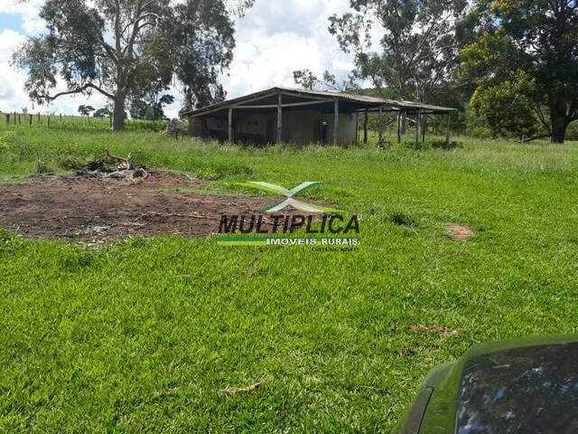 #640 - Fazenda para Venda em Campina Verde - MG