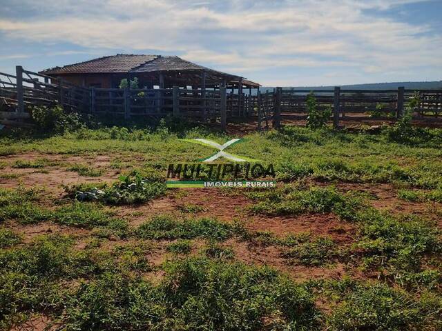 #641 - Fazenda para Venda em Jaíba - MG