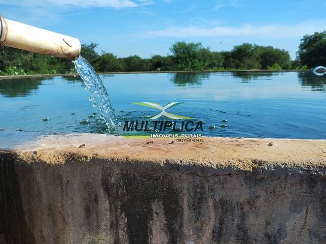 #641 - Fazenda para Venda em Jaíba - MG