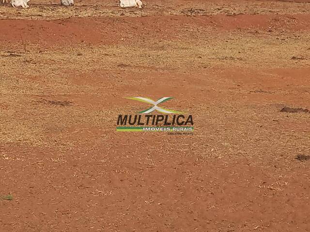 #644 - Fazenda para Venda em Iturama - MG - 2