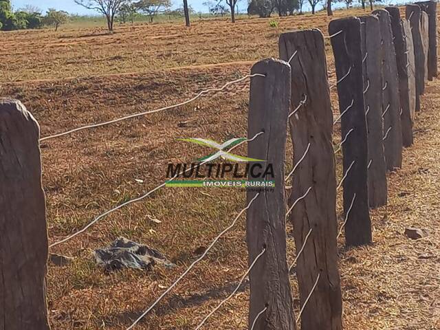 #644 - Fazenda para Venda em Iturama - MG - 3