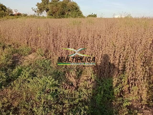 #580 - Fazenda para Venda em Prata - MG