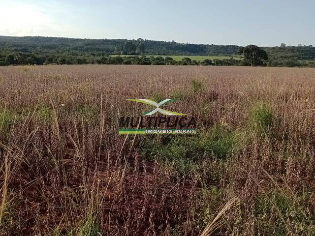 #580 - Fazenda para Venda em Prata - MG
