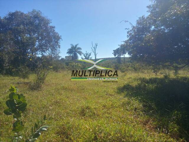 #646 - Fazenda para Venda em Prata - MG