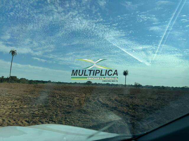 #648 - Fazenda para Venda em Santa Vitória - MG - 3