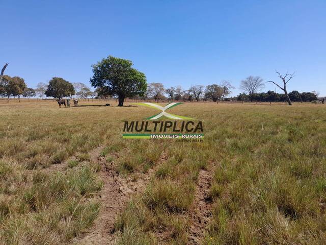 #649 - Fazenda para Venda em Santa Vitória - MG