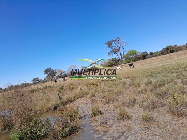 #649 - Fazenda para Venda em Santa Vitória - MG
