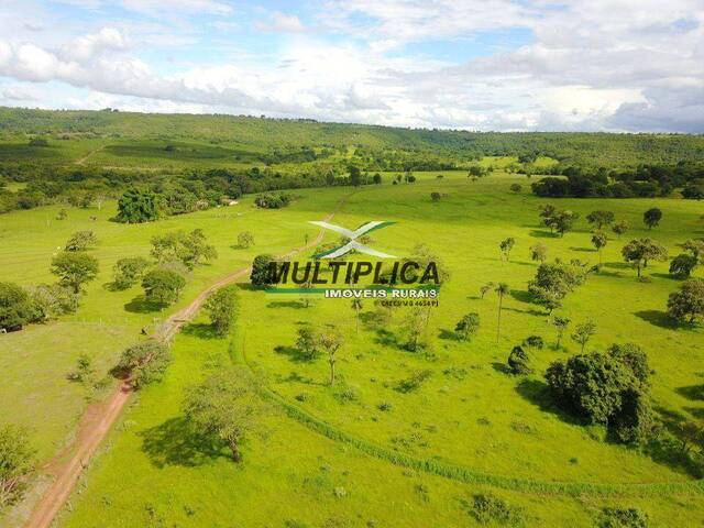 #651 - Fazenda para Venda em Ituiutaba - MG