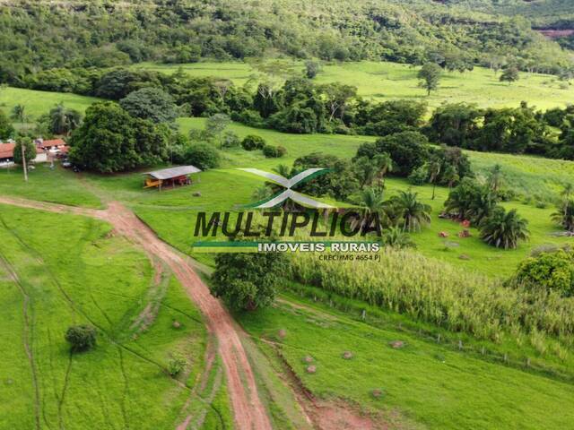 #654 - Fazenda para Venda em Gurinhatã - MG