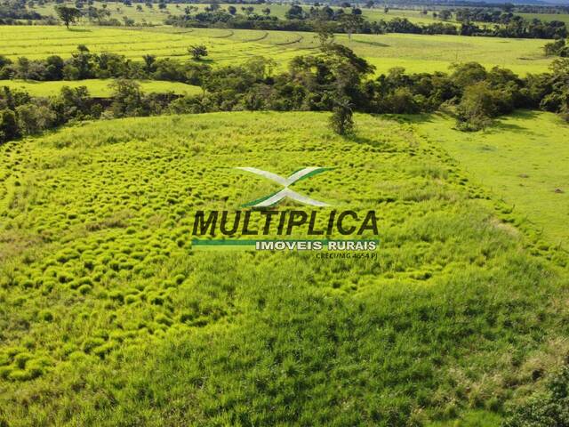 #654 - Fazenda para Venda em Gurinhatã - MG