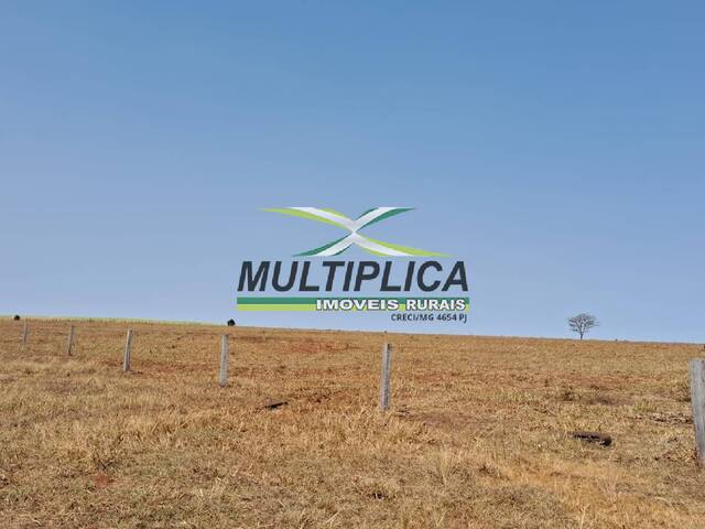 #662 - Fazenda para Venda em Paranaíba - MS - 1
