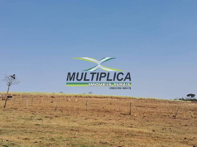 #662 - Fazenda para Venda em Paranaíba - MS - 3