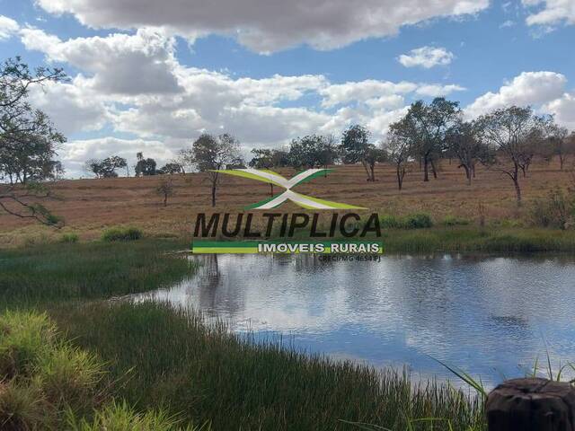 #664 - Fazenda para Venda em Campina Verde - MG - 3