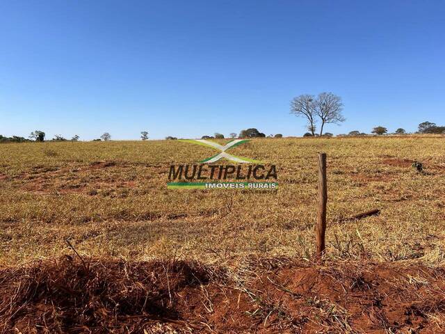 #665 - Fazenda para Venda em União de Minas - MG - 1