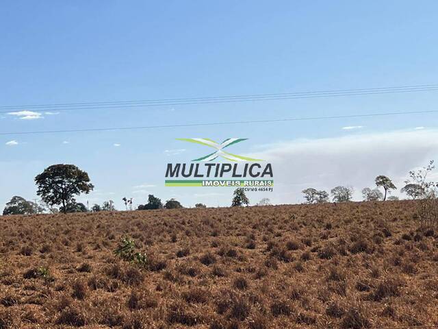 #665 - Fazenda para Venda em União de Minas - MG - 3