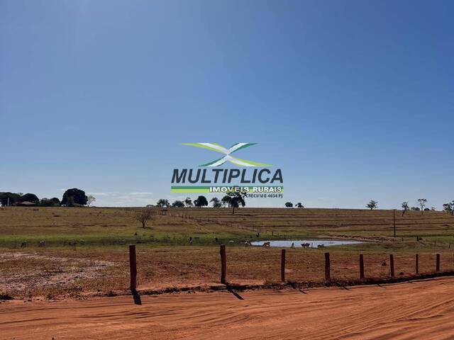 #665 - Fazenda para Venda em União de Minas - MG - 2