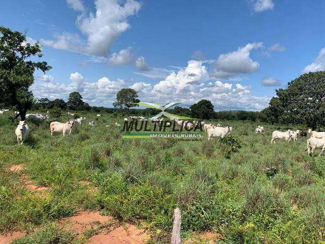 #670 - Fazenda para Venda em Talismã - TO - 2