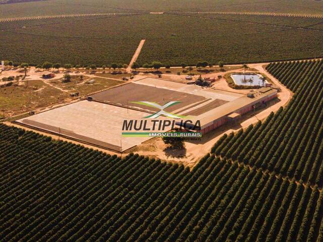 #672 - Fazenda para Venda em Rio Pardo de Minas - MG - 1