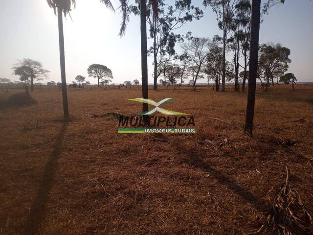 #673 - Fazenda para Venda em Iturama - MG - 2