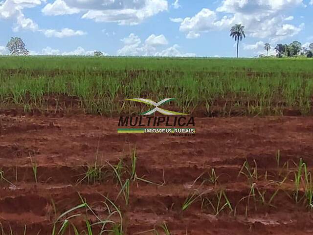 #675 - Fazenda para Venda em Iturama - MG - 3