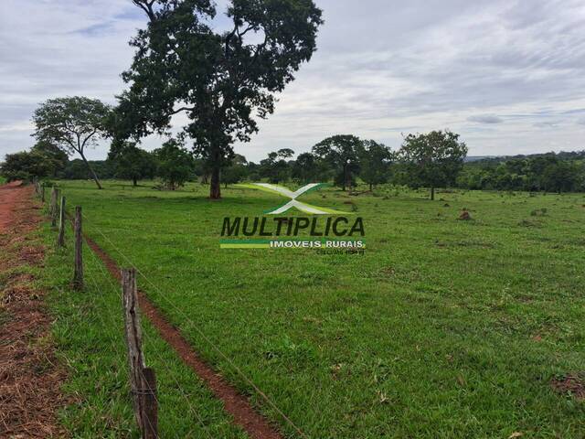 #676 - Fazenda para Venda em União de Minas - MG - 1