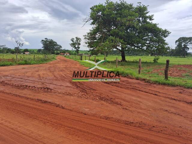 #676 - Fazenda para Venda em União de Minas - MG - 2