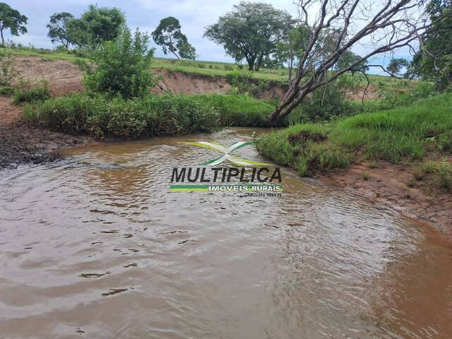 #676 - Fazenda para Venda em União de Minas - MG - 3