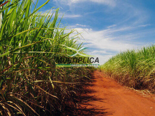 #677 - Fazenda para Venda em Iturama - MG - 1