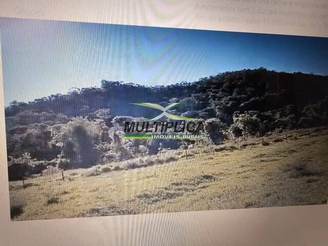#678 - Fazenda para Venda em Campina Verde - MG - 2
