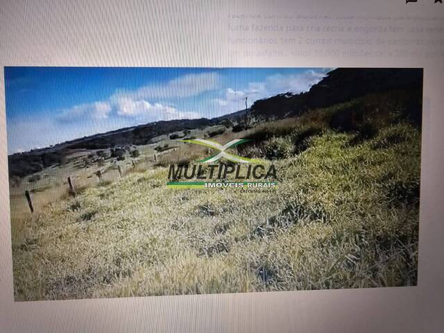 #678 - Fazenda para Venda em Campina Verde - MG - 3