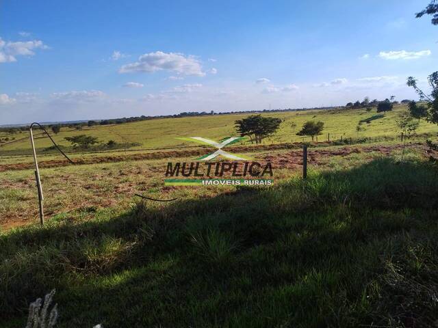 #684 - Sítio para Venda em Fronteira - MG - 1